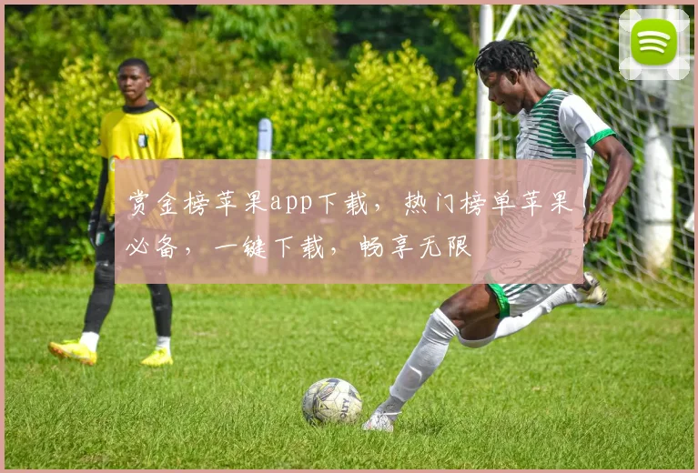 赏金榜苹果app下载，热门榜单苹果必备，一键下载，畅享无限