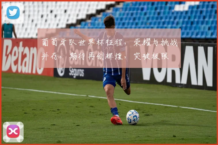 葡萄牙队世界杯征程，荣耀与挑战并存，期待再创辉煌，突破极限