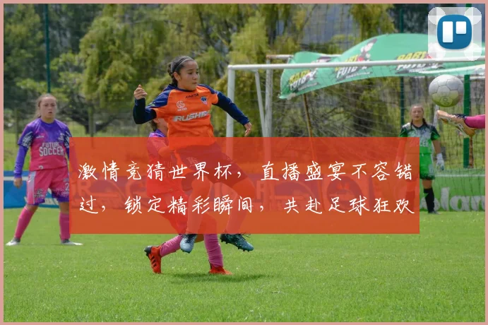 激情竞猜世界杯，直播盛宴不容错过，锁定精彩瞬间，共赴足球狂欢之旅，一触即发
