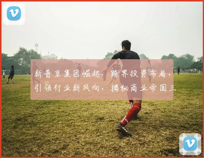 新普京集团崛起，跨界投资布局，引领行业新风向，揭秘商业帝国三重奏