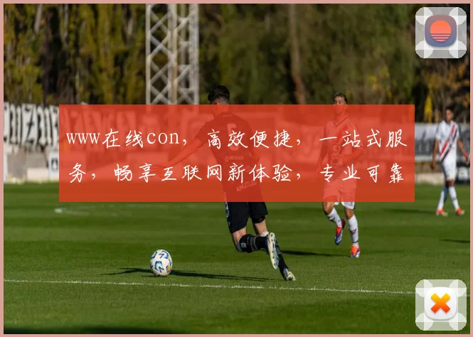 www在线con，高效便捷，一站式服务，畅享互联网新体验，专业可靠，值得信赖